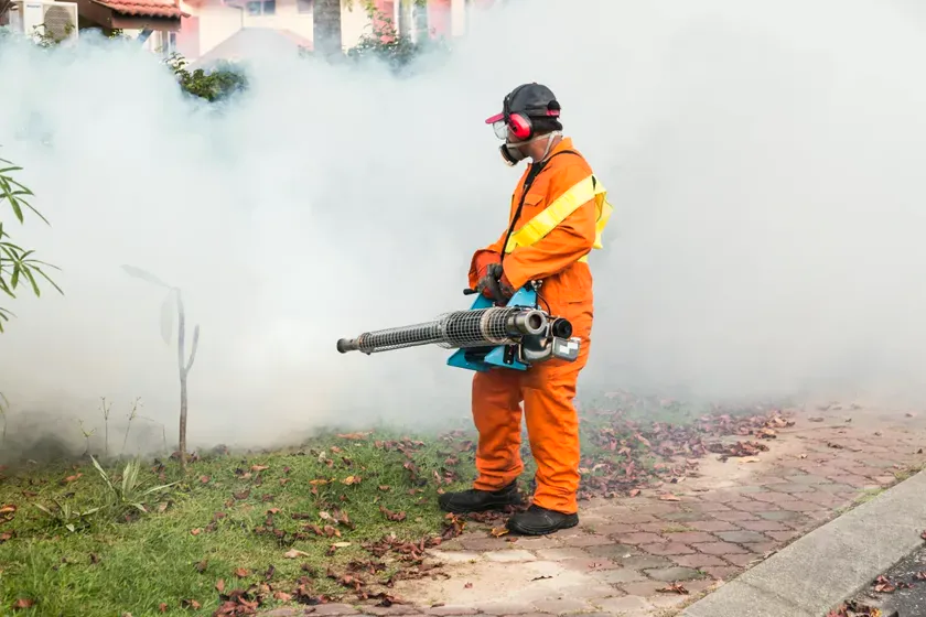 Control del mosquito tigre en Barberà del Vallès — PlagaZero