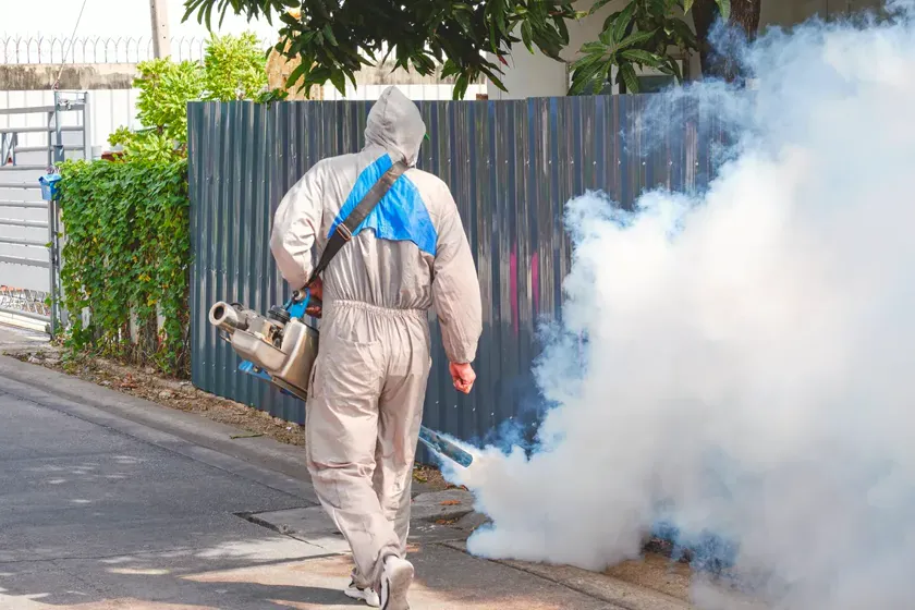 Tratamiento de mosquitos en Barberà del Vallès — PlagaZero